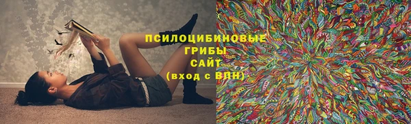 прущая мука Алзамай