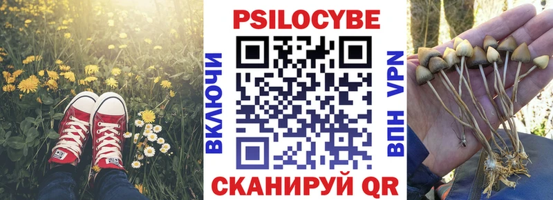 наркошоп  OMG ссылка  Псилоцибиновые грибы ЛСД  Тюмень 